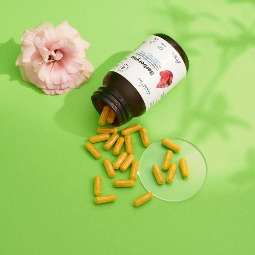 Berberyna 490 mg, HCL, Berberis aristata, kapsułki 60 szt.
